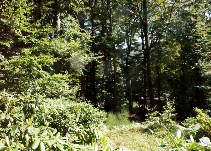 photo/D-54570-23 (22).JPG